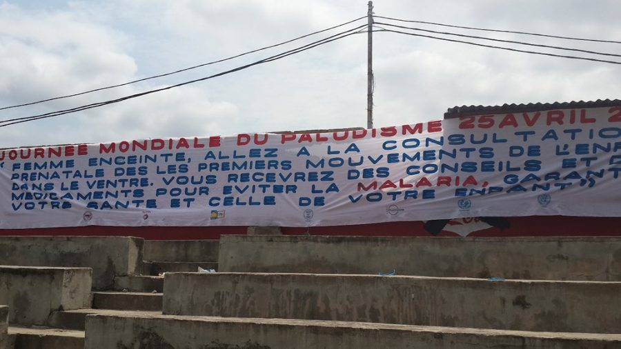 Te Litho Tenge Didier — Journée de la lutte contre le paludisme (Environnement)