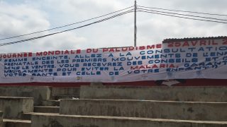 Te Litho Tenge Didier — Journée de la lutte contre le paludisme (Environnement)