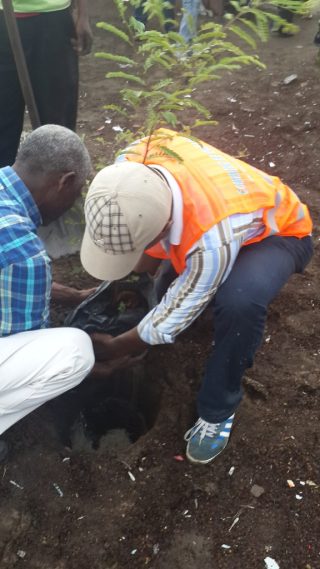 Te Litho Tenge Didier — Reboisement avec des Tamariniers à l’école Laïc le 22 avril 2015 (Environnement)