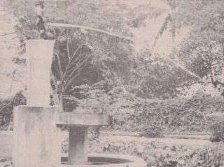 Te Litho Tenge Didier — Archives (Archives de terrain)