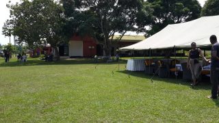Te Litho Tenge Didier — Mbuela Lodge (Archives de terrain)