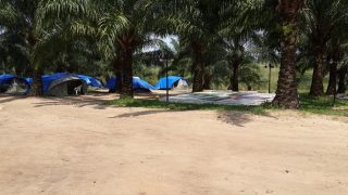 Te Litho Tenge Didier — Mbuela Lodge (Archives de terrain)