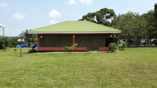 Te Litho Tenge Didier — Mbuela Lodge (Archives de terrain)
