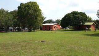 Te Litho Tenge Didier — Mbuela Lodge (Archives de terrain)