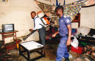 Te Litho Tenge Didier — Archives (Kintambo)