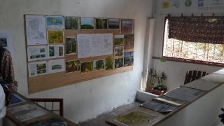 Te Litho Tenge Didier — Archives (Kintambo)