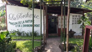 Te Litho Tenge Didier — Archives (Kintambo)